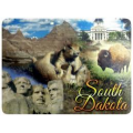 List of South Dakota schools with game art, game design, and game development de
