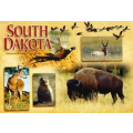 List of South Dakota schools with graphic design degree programs