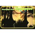 List of Tennessee schools with graphic design degree programs