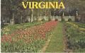 Virginia