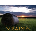 Viriginia