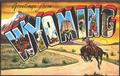 How to become a graphic designer in Wyoming