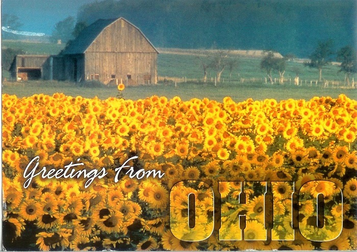 List Of Ohio Schools With Graphic Design Degree Programs Animation 