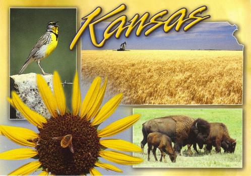 Kansas