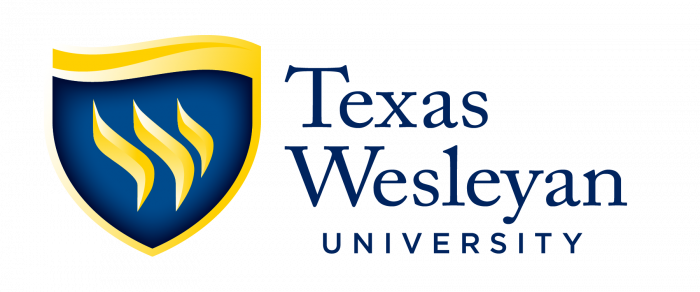 Online Video Game Design and Development from Virginia Wesleyan