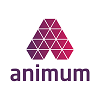 Animum Creativity Advanced School