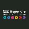 SAE Expression College