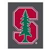 Stanford University