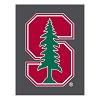 Stanford University