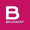 The BRASSART School