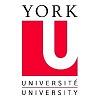 York University